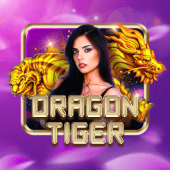 Dragon Tiger wk777 live casino